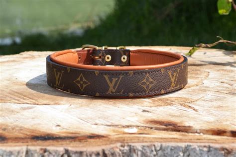 lv dog collar